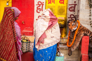 Street scene, varanasi,India