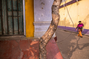 2015, Street scene,Kolkata,India