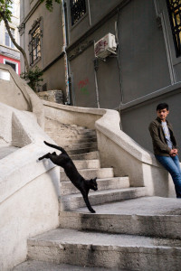 street scene, Istanbul, Turkey, 2017